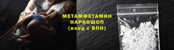 ПСИЛОЦИБИНОВЫЕ ГРИБЫ Вязники